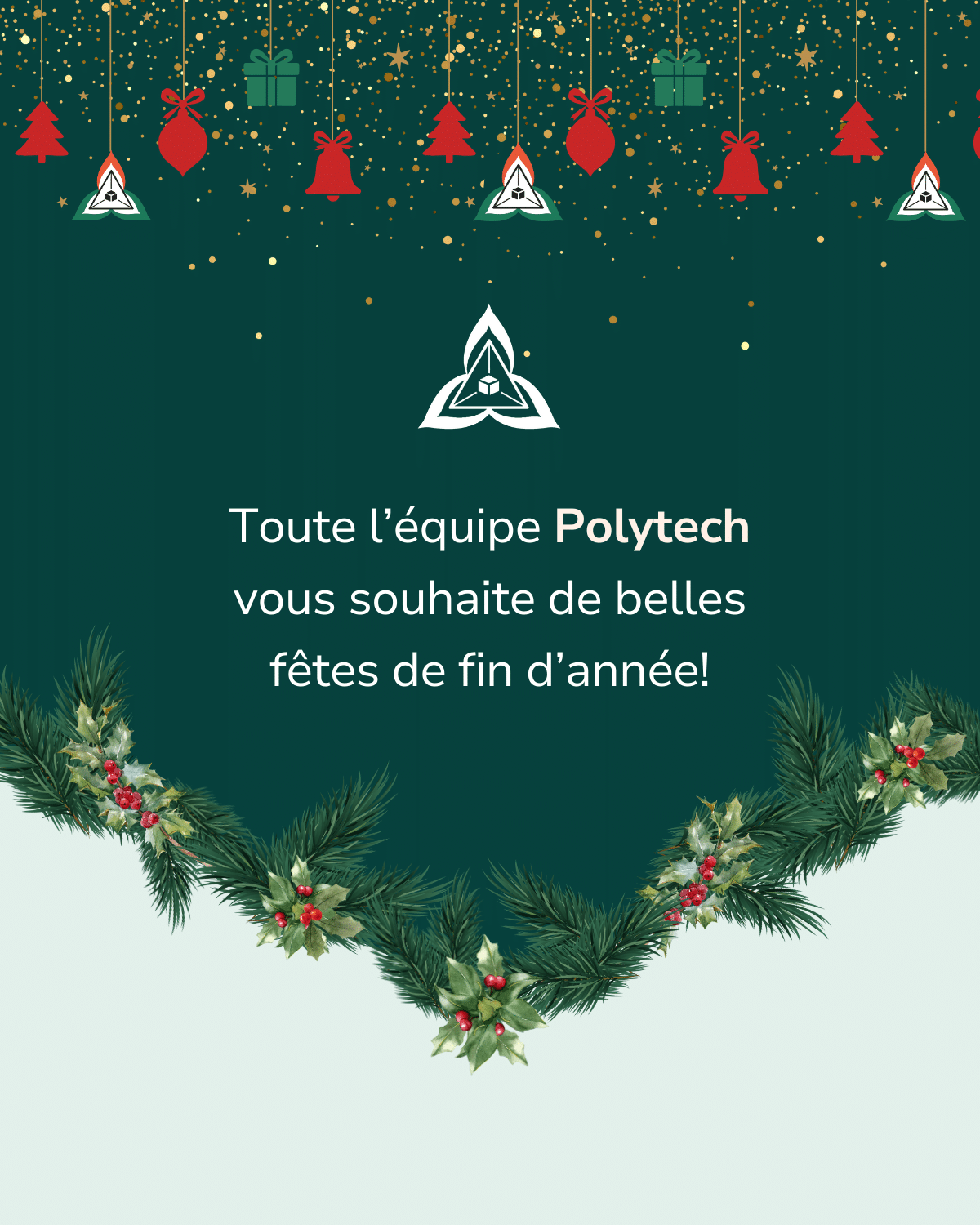 joyeuses fêtes 2025 (1)